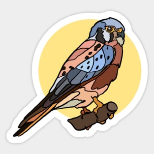 American Kestral Sticker